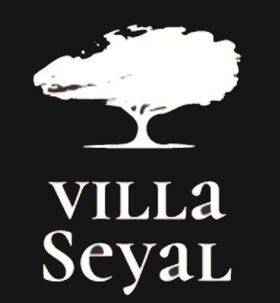 logo villa seyal
