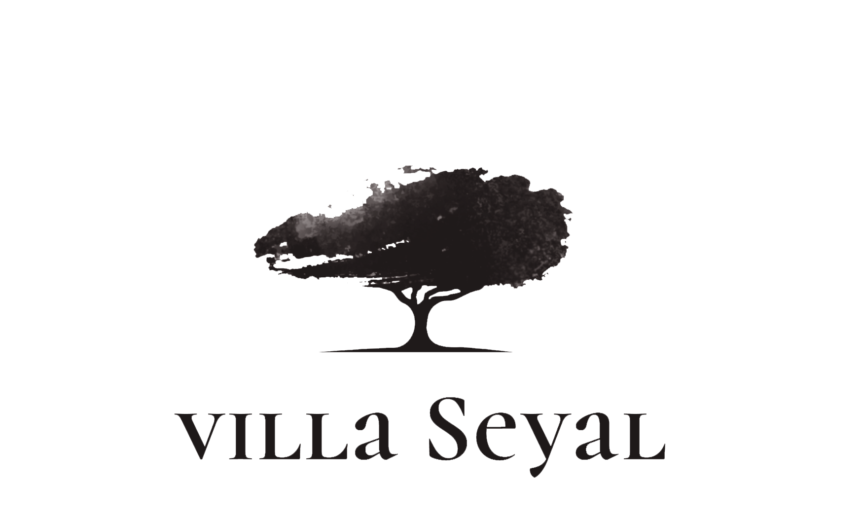 logo Villa Seyal